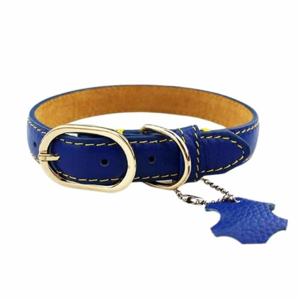 Coloured Leather Dog Collar - Blue / Large - Pet Collars & 