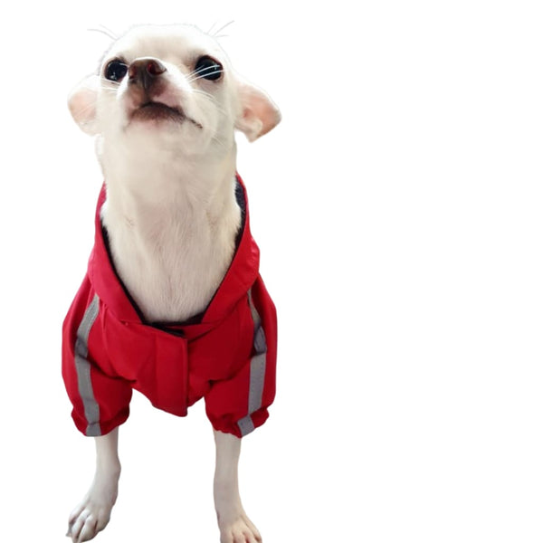 Dog Face Windbreaker Jacket for Dogs - Jacket