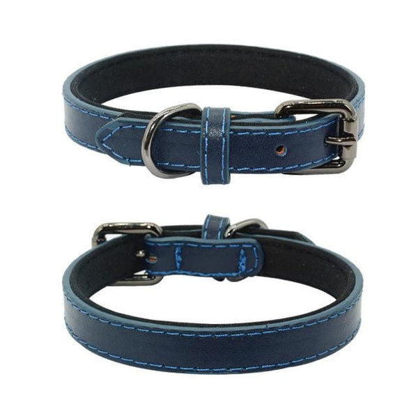Genuine Leather Padded Dog Collar - Max & Cocoa 