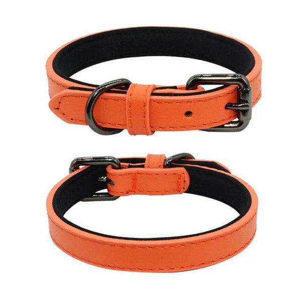 Genuine Leather Padded Dog Collar - Max & Cocoa 