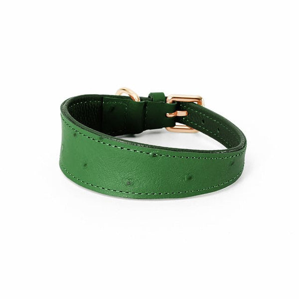 Wide Leather Dog Collar - green / S neck26-32cm - Pet 