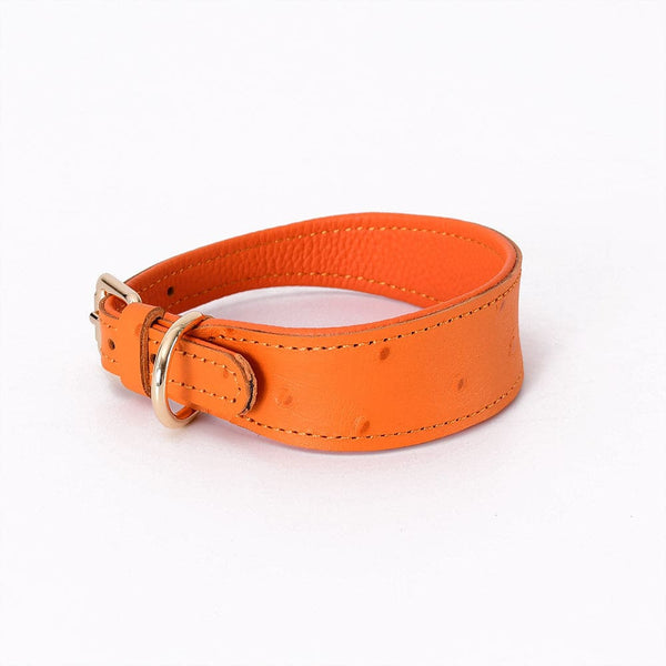 Wide Leather Dog Collar - Pet Supplies