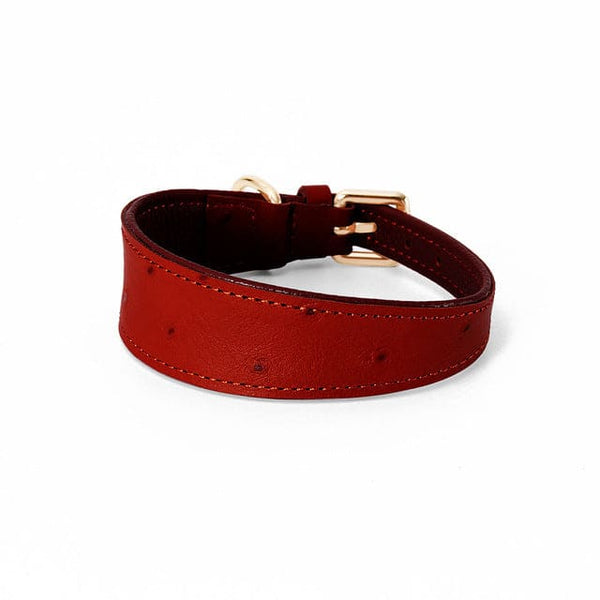 Wide Leather Dog Collar - red / S neck26-32cm - Pet Supplies