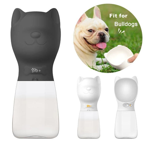 pet water bottle