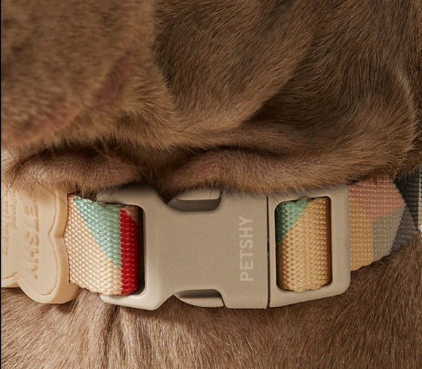Petshy Modern Mutli-Coloured Collar & Leash