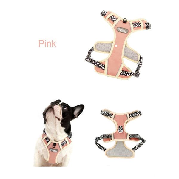 Adjustable Harness & Matching Leash - Max & Cocoa 
