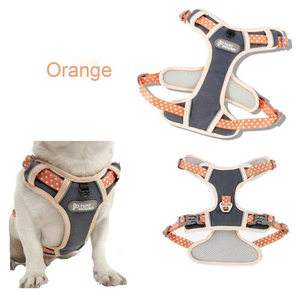 Adjustable Harness & Matching Leash - Max & Cocoa 