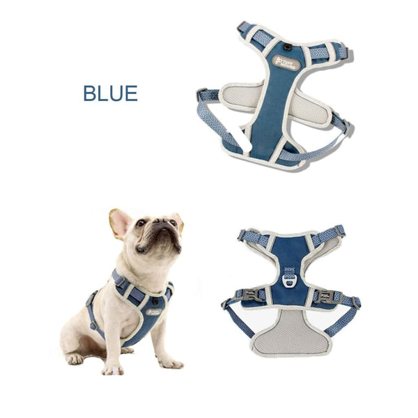 Adjustable Harness & Matching Leash - Max & Cocoa 