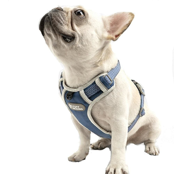 Adjustable Harness & Matching Leash - Max & Cocoa 