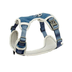 Adjustable Harness & Matching Leash - Max & Cocoa 