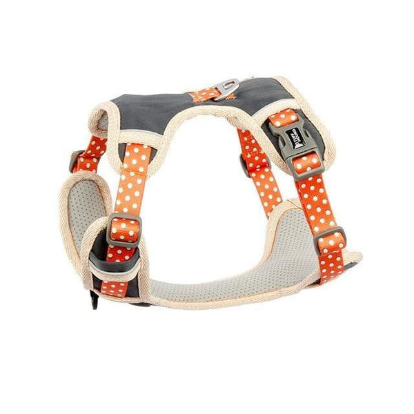 Adjustable Harness & Matching Leash - Max & Cocoa 
