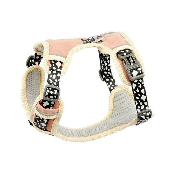 Adjustable Harness & Matching Leash - Max & Cocoa 