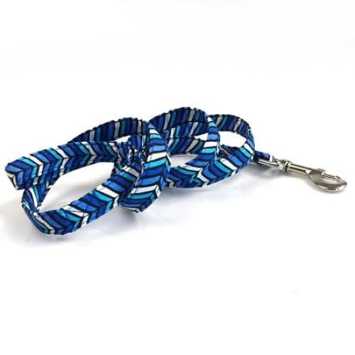 Blue Wave Bow tie Collar & Leash - Max & Cocoa 