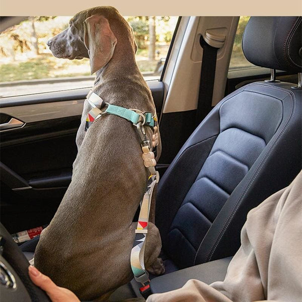 Car Seat Belt for Dogs - car seat belt
