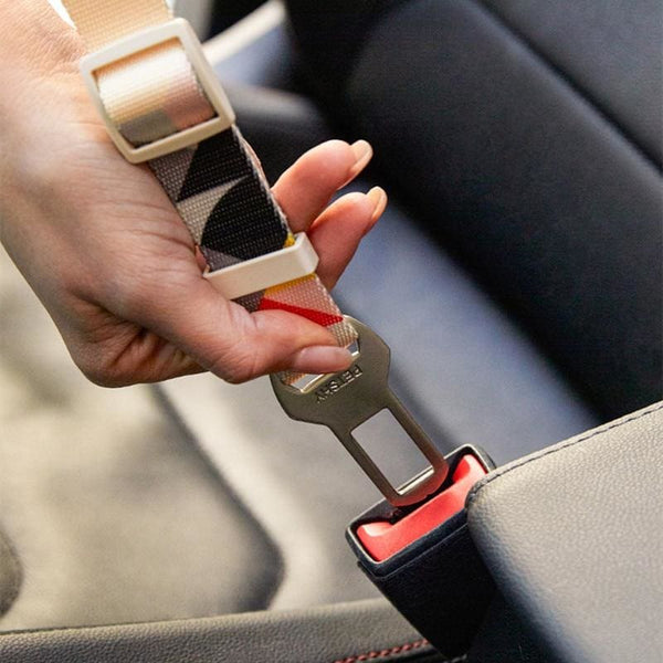 Car Seat Belt for Dogs - car seat belt