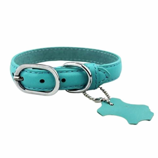 Coloured Leather Dog Collar - Aqua / X-Large - Pet Collars &