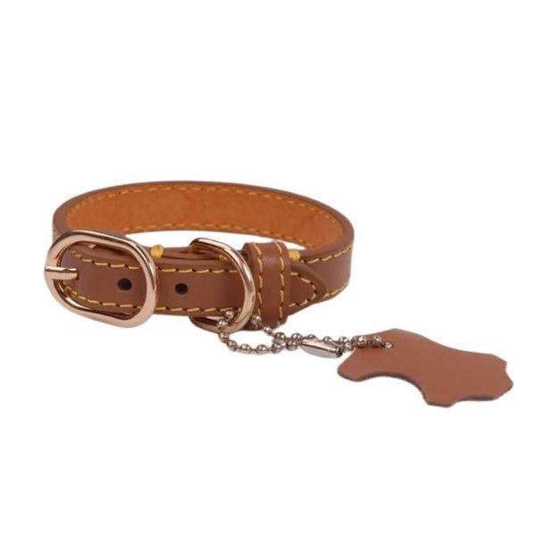 Coloured Leather Dog Collar - Brown / X-Small - Pet Collars 