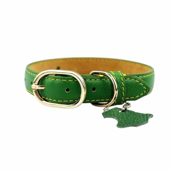 Coloured Leather Dog Collar - Green / Large - Pet Collars & 