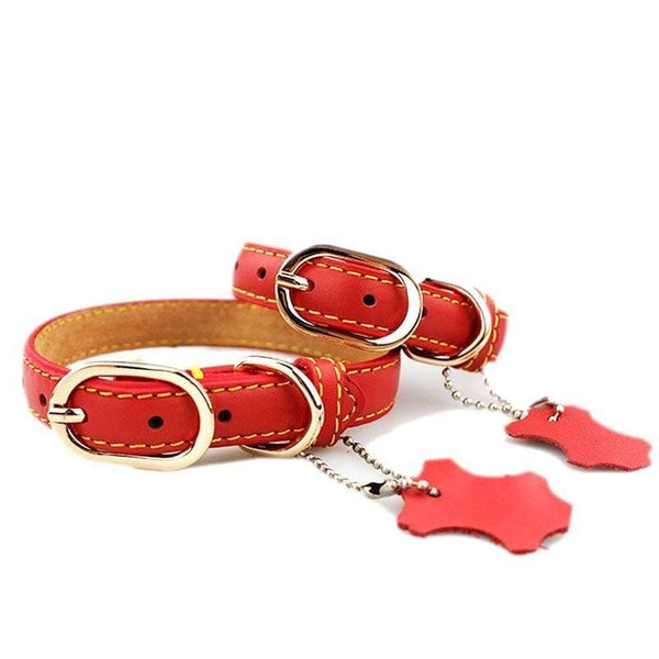 Coloured Leather Dog Collar - Pet Collars & Harnesses