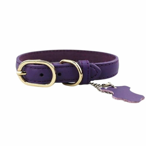 Coloured Leather Dog Collar - Purple / X-Large - Pet Collars