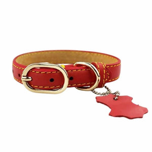Coloured Leather Dog Collar - Red / Large - Pet Collars & 