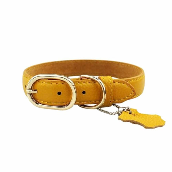 Coloured Leather Dog Collar - Yellow / Small - Pet Collars &
