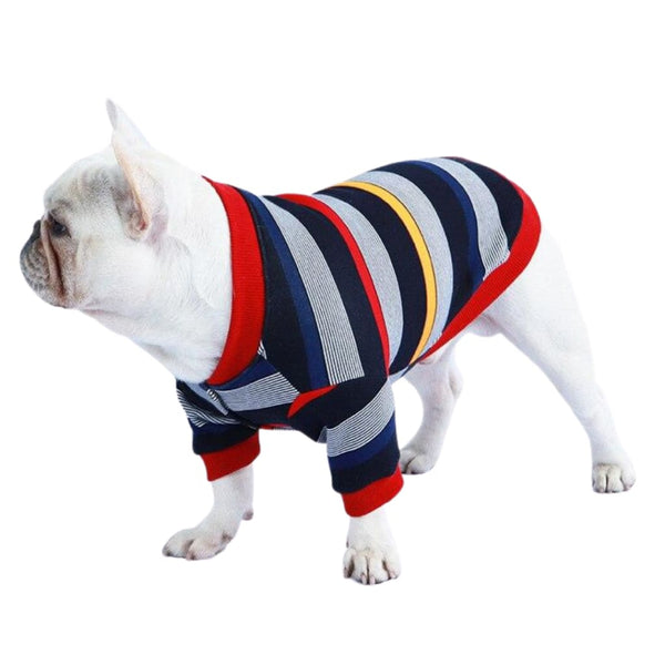 Colourful Striped Dog Jacket - dog jacket