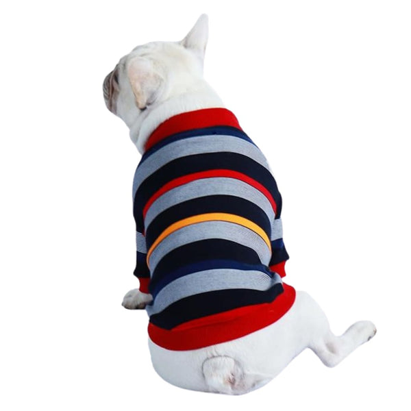 Colourful Striped Dog Jacket - dog jacket