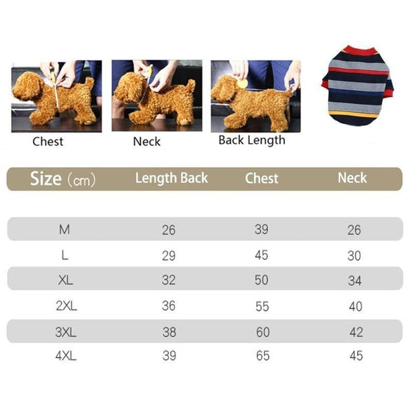 Colourful Striped Dog Jacket - dog jacket