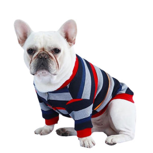 Colourful Striped Dog Jacket - M - dog jacket