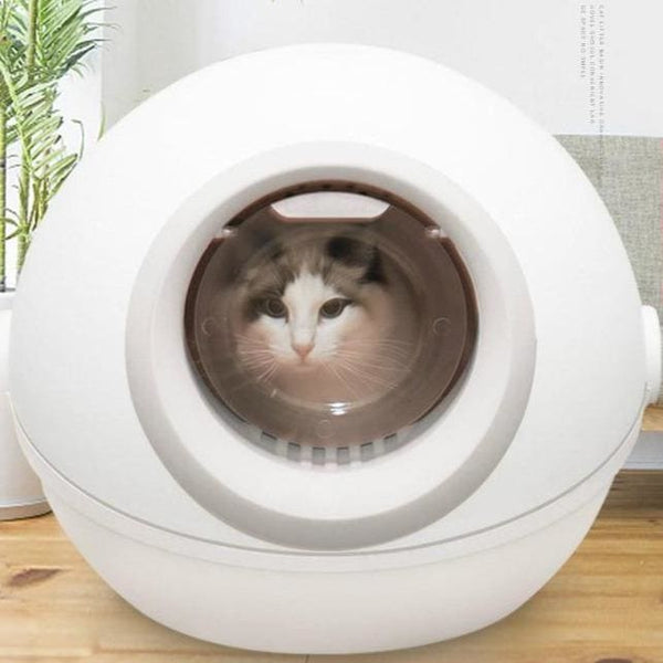 CURLY TAIL litter box - Max & Cocoa 