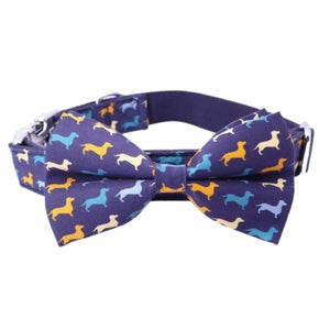 Dachshund Bow Tie Collar & Lead - Bow Tie Collar / L 