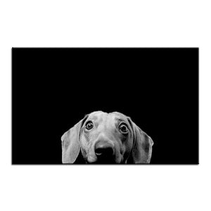 Dachshund Photographic Print - 30x50cm No Frame - canvas 