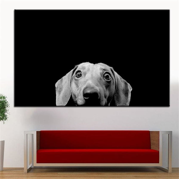 Dachshund Photographic Print - canvas print