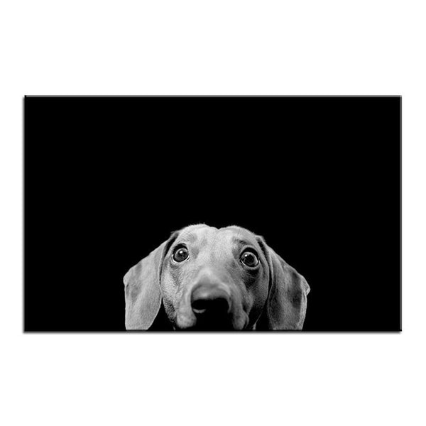 Dachshund Photographic Print - canvas print