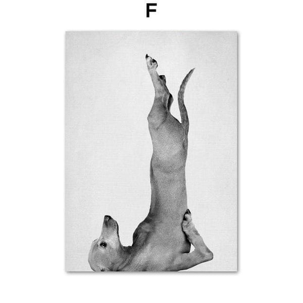 Dog & Cat Yoga Canvas Prints - Max & Cocoa 