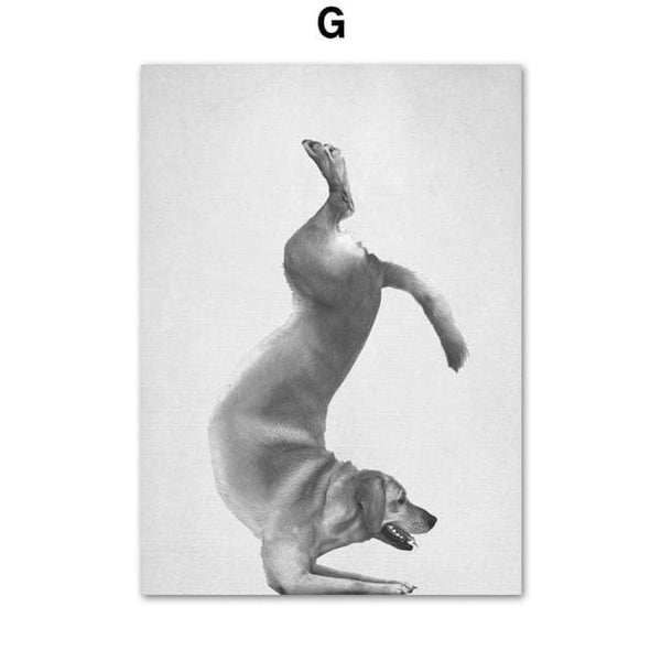 Dog & Cat Yoga Canvas Prints - Max & Cocoa 