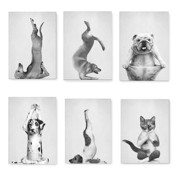 Dog & Cat Yoga Canvas Prints - Max & Cocoa 