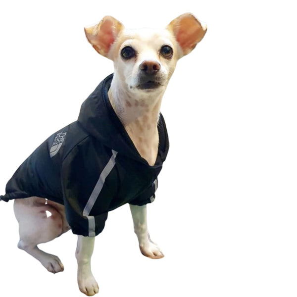 Dog Face Windbreaker Jacket for Dogs - Jacket