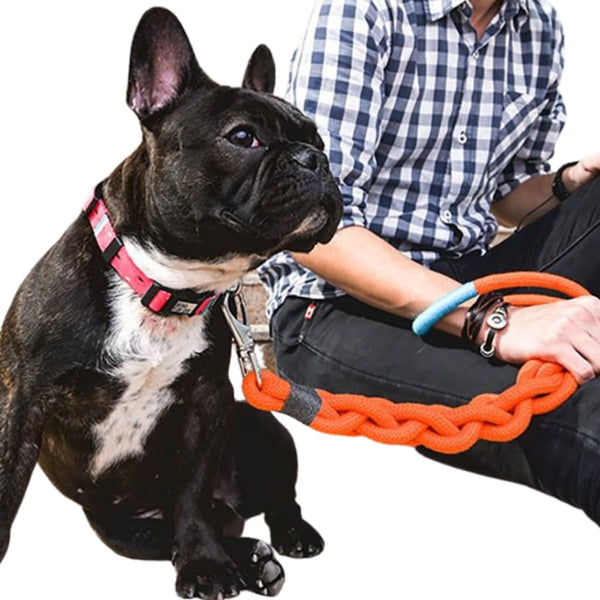 Dog Leash For Medium Large Dogs - leash
