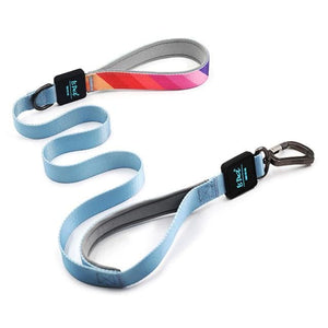 Gelato Stripes / Light Blue Pet Leash with Double Handles - Max & Cocoa 