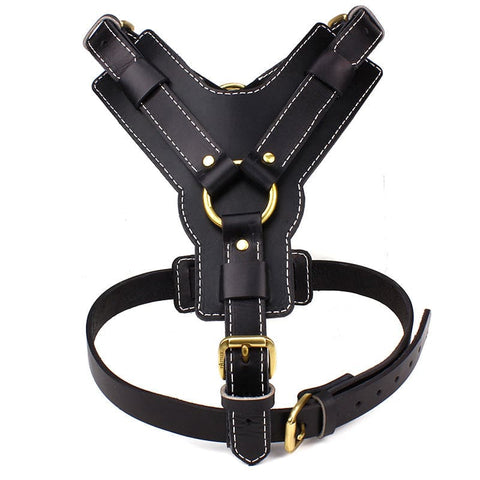 Genuine Leather Black Adjustable Dog Harness - Pet Collars &