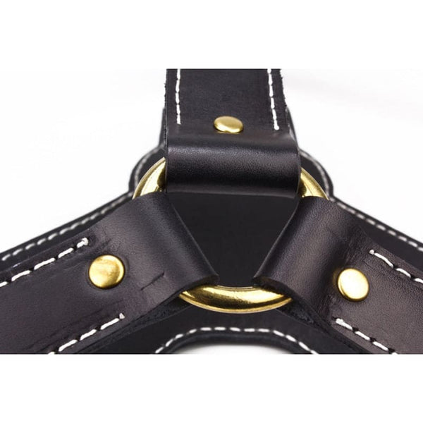 Genuine Leather Black Adjustable Dog Harness - Pet Collars &