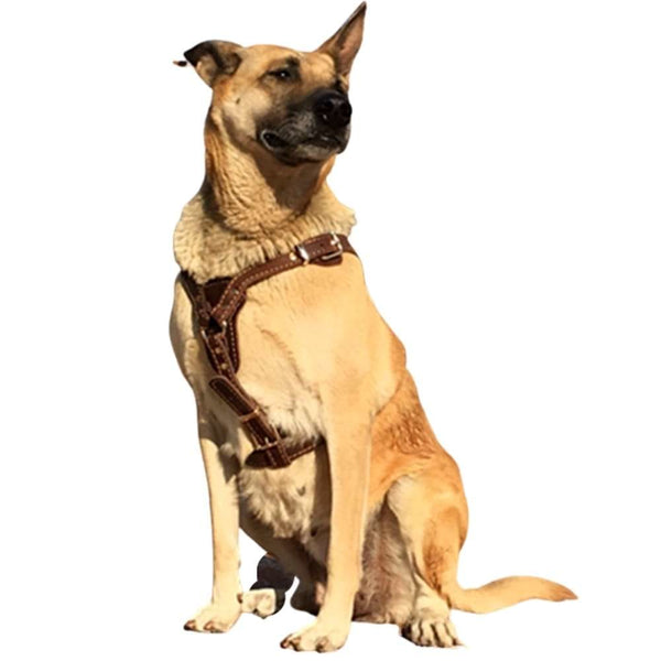 Genuine Leather Brown Adjustable Dog Harness - Pet Collars &