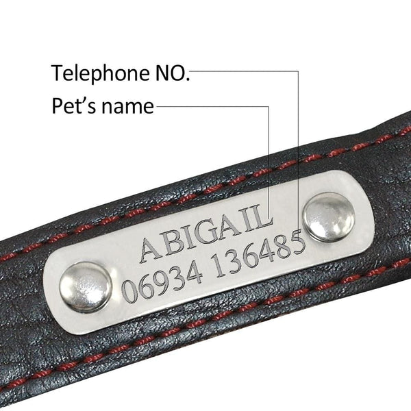 Genuine Leather Dog Collar - Max & Cocoa 