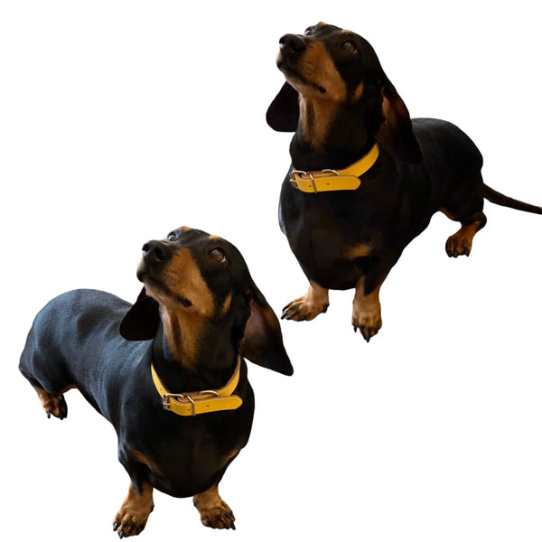 Genuine Leather Dog Collars - collar