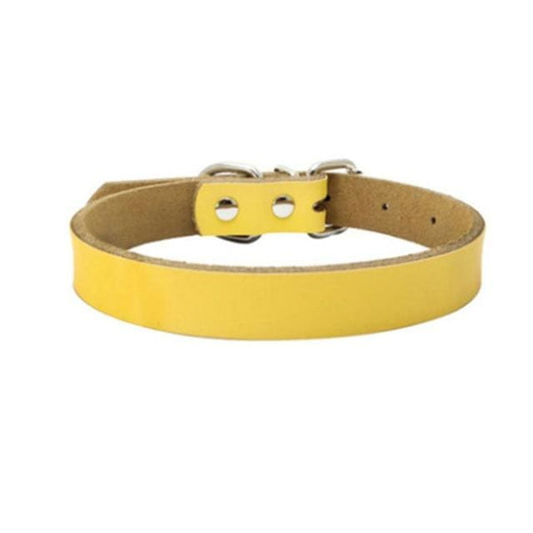 Genuine Leather Dog Collars - Max & Cocoa 