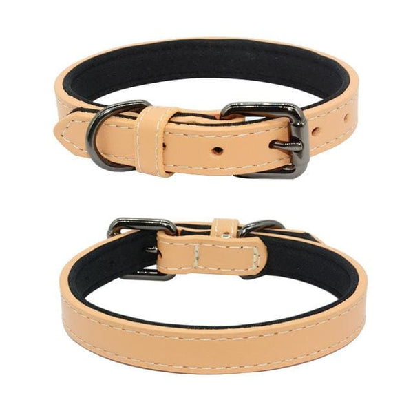 Genuine Leather Padded Dog Collar - Max & Cocoa 