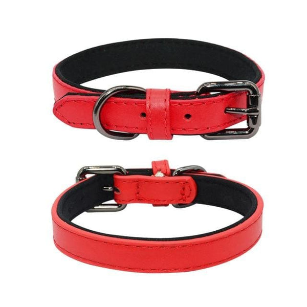 Genuine Leather Padded Dog Collar - Max & Cocoa 