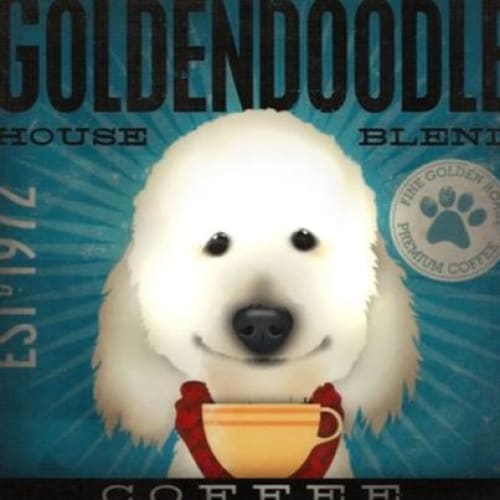 Golden Doodle House Blend Canvas Print - Max & Cocoa 